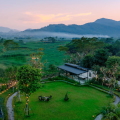 Mẫu Thiết Kế Villa 1 Tầng 2 Phòng Ngủ Có Bể Bơi – Không Gian Sống Chuẩn Resort Trong Diện Tích 60m²